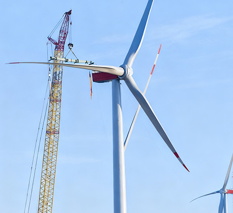 Consumer Electronics